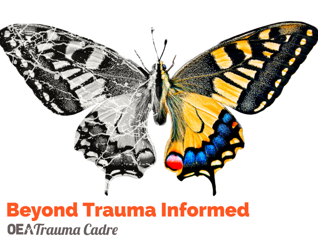 Trauma Cadre Logo Butterfly FINAL